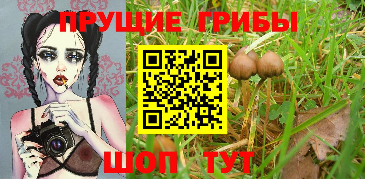 Альметьевск  Галлюциногенные грибы Psilocybe  Вход с VPN  Галлюциногенные грибы Psilocybine cubensis 