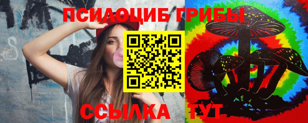Псилоцибиновые грибы мицелий Альметьевск